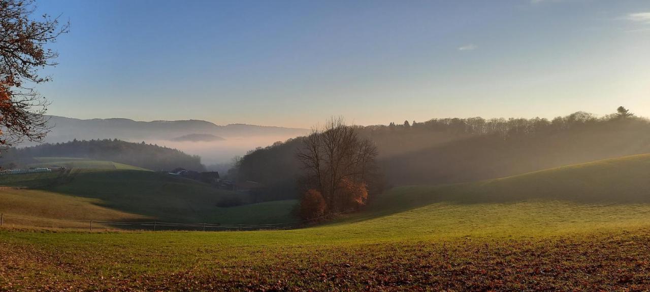 Ferienwohnung Dorfzeit Mörlenbach Zewnętrze zdjęcie